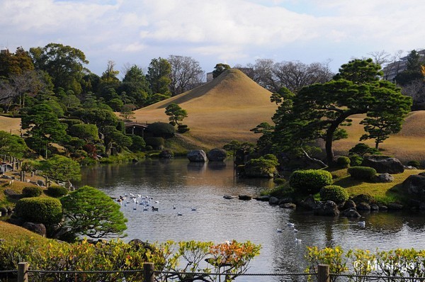 2009kumamotoDSC_5290suizenji