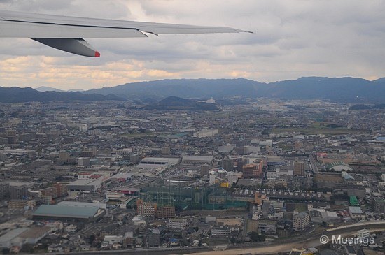 blog2009kumamotoDSC_5547flyinghome