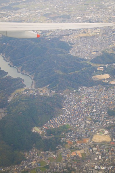 blog2009kumamotoDSC_5557flyinghome