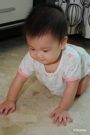 blog-2010-baby-DSC_5938-crawling