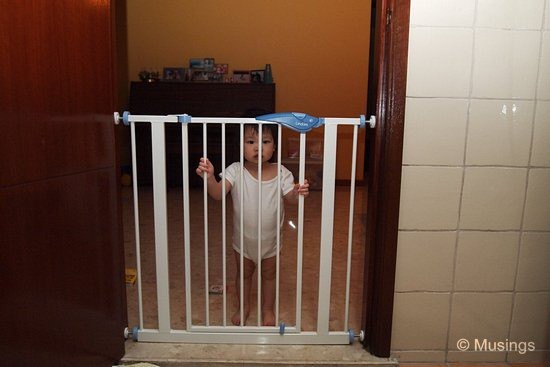 blog-2010-hannah-OLYP3368-kitchen-gate