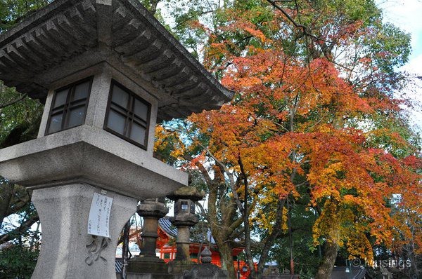 blog-2010-japan-DSC_3498-kyoto-yasaka-shrine