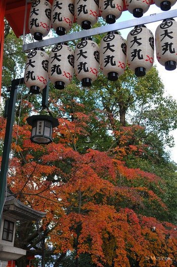 blog-2010-japan-DSC_3501-kyoto-yasaka-shrine