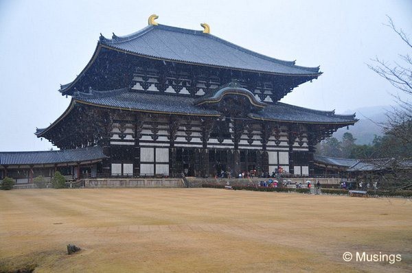 blog-2010-japan-DSC_4013-nara