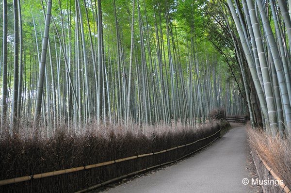 blog-2010-japan-DSC_4329-kyoto-arashiyama