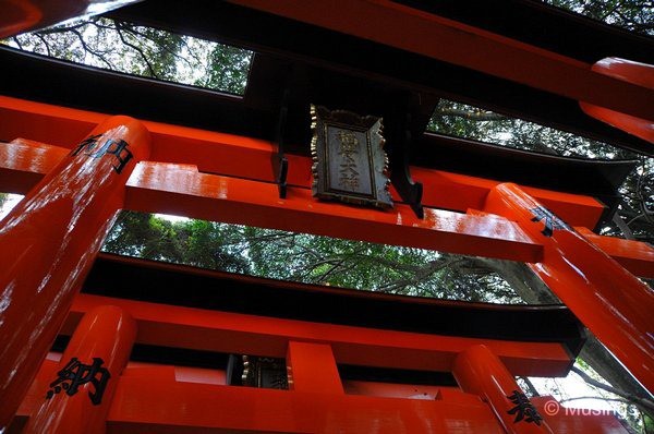 blog-2010-japan-DSC_4581-kyoto-fushimi-shrine