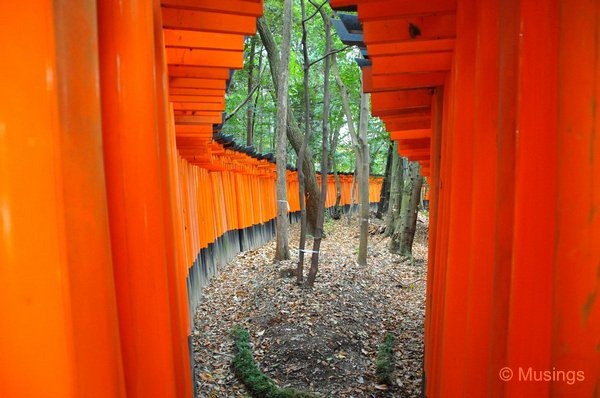 blog-2010-japan-DSC_4584-kyoto-fushimi-shrine