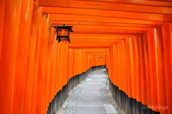 blog-2010-japan-DSC_4590-kyoto-fushimi-shrine