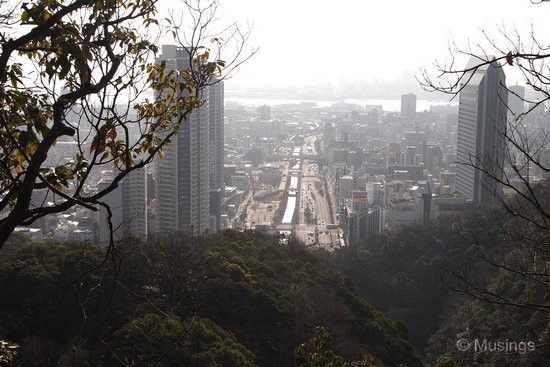 blog-2010-japan-OLYP4674-kobe-mt.maya