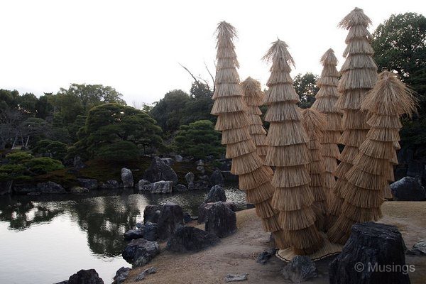 blog-2010-japan-OLYP4909-kyoto-nijo-castle