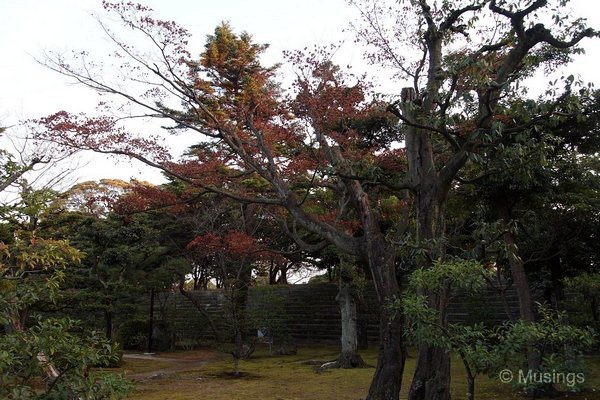 blog-2010-japan-OLYP4959-kyoto-nijo-castle