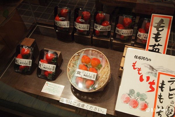 blog-2010-japan-OLYP5252-kyoto-nishiki-market