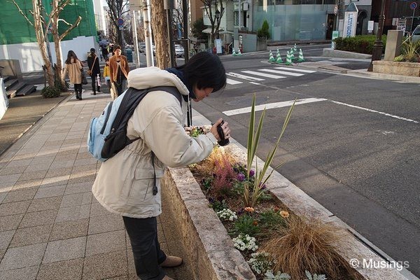 blog-2010-japan-OLYP4472-kobe-sannomiya_thumb[3]