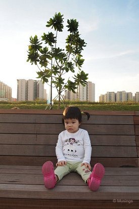 blog-2011-hannah-OLYP6102-punggol-flickr