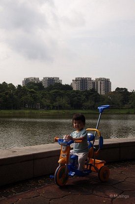 blog-2011-hannah-OLYP6126-punggol-park-flickr