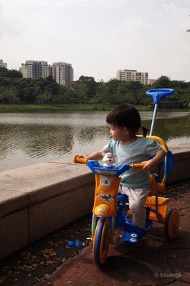 blog-2011-hannah-OLYP6128-punggol-park-flickr