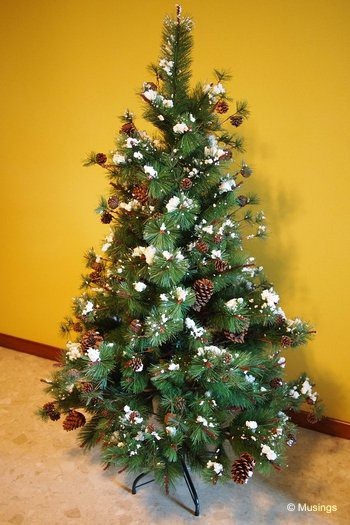 blog-2011-rivervale-OLYP4130-christmas-tree-flickr