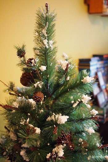 blog-2011-rivervale-OLYP4135-christmas-tree-flickr