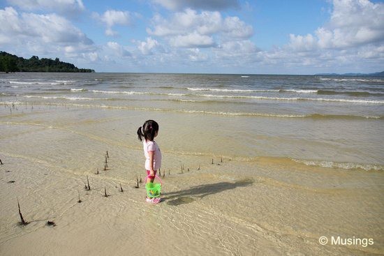 blog-2012-telunas-OMD05117-beach-exploration