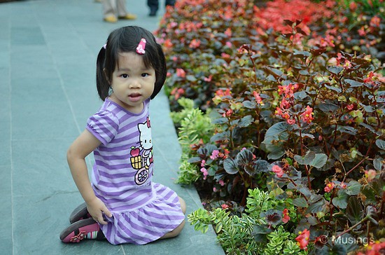 blog-2012-gardens-N7K_7819-flickr blog-2012-gardens-N7K_7819-flickr