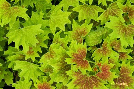 blog-2012-gardens-OMD09277-flickr blog-2012-gardens-OMD09277-flickr