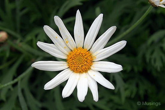 blog-2012-gardens-OMD09284-flickr blog-2012-gardens-OMD09284-flickr