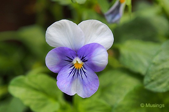 blog-2012-gardens-OMD09291-flickr blog-2012-gardens-OMD09291-flickr