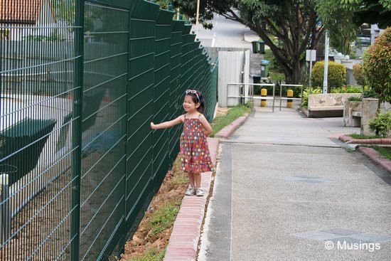 Hannah in her usual happy mood on our outing.:)