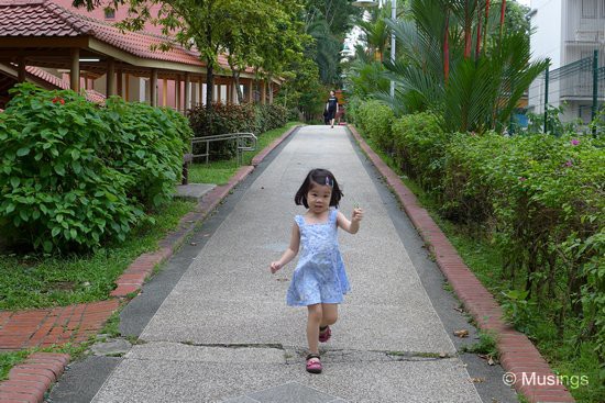 Hannah having the run of the sidewalk adjacent to the project.