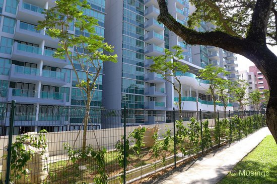 Blocks 2 and 6 as seen along the pedestrian pavement at Lorong Ah Soo.