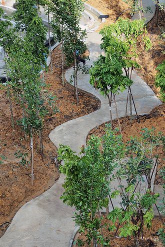 Winding pathway at Tranquil World.