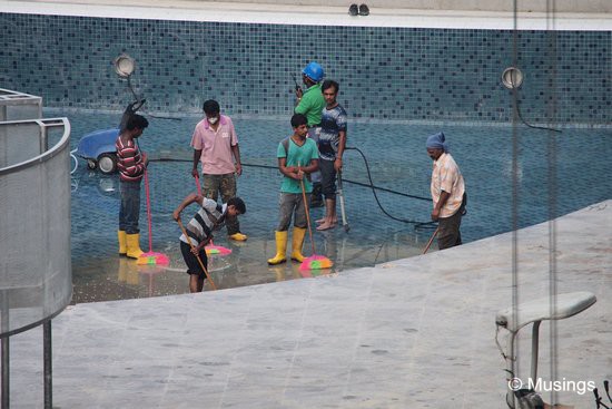 Pool scrubbers. The pool should be filled with its first water cycle soon.