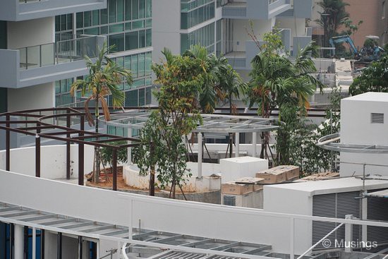 The Grand Clubhouse has its own little rooftop garden too.