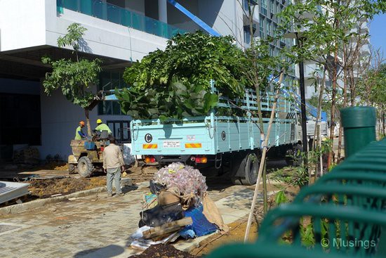 Tree planting going on in-front of Block 12C.