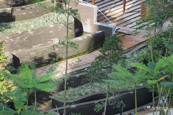 The cascading waterfall at Tranquil World.