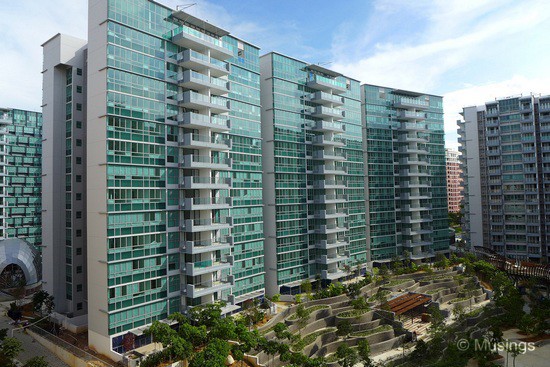 Blocks 10 in the late afternoon. Our block is right in the center.