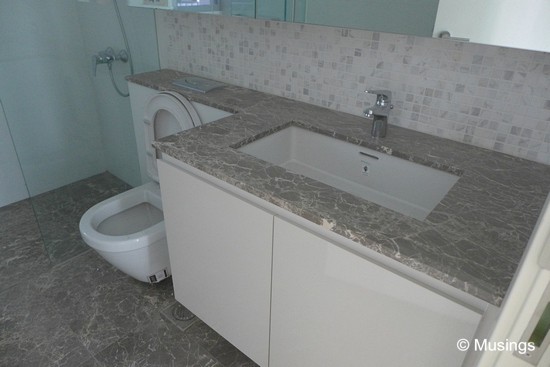 The master bedroom toilet.