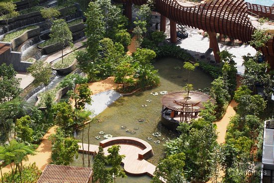 The Amazonian Lily Pond @ Tranquil World looks filled with its actual body of water now, and is now finally starting to look like its actual form.