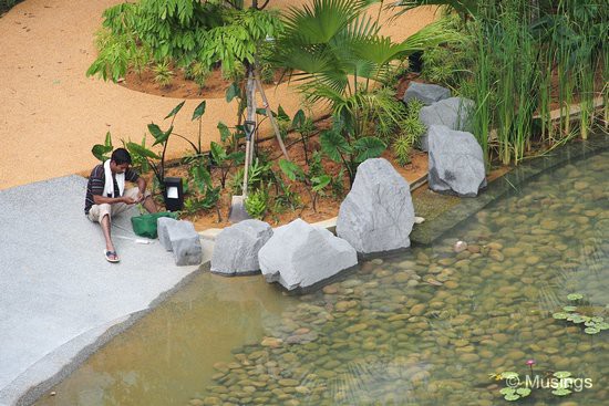 Boulders have been placed at several spots around the Tranquil World pond's circumference