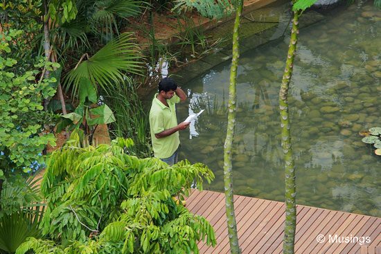 Worker is lost in his own construction site.