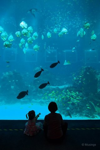 The two girls chilling out in front of the massive Open Ocean tank. 