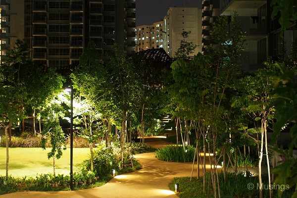 The winding path at Tranquil World from the earlier visit 3 days ago.