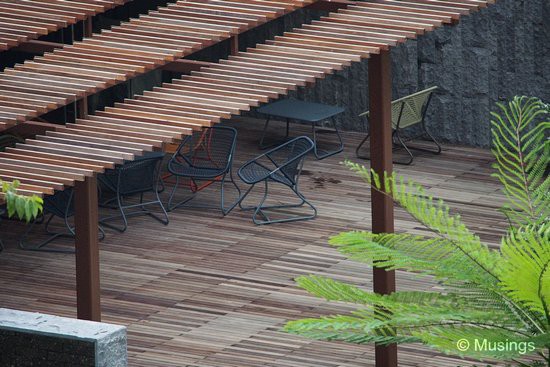 Newly placed chairs for lounging around at the Library Patio.