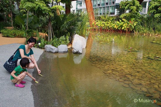 Mommy and Hannah trying to attract the attention of the Lily Pond's kois @ Tranquil World. These are the mega-sized monster kois we see elsewhere - hopefully they'll grow over time.