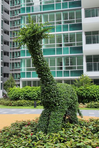 After months of wondering if topiary was ever going to get a head, it finally did.