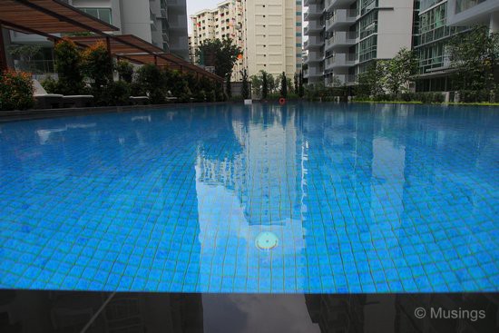 The lap pool, as seen from a low angle. 