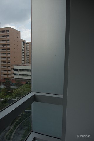 We had frosted film done on the small section of our L-shaped window in the Master Bedroom.