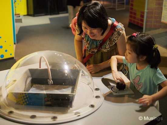 Interacting with the exhibits at the Science Center. Ling was able to explain the science behind the exhibits, while daddy was easily distracted by everything. "Oooooh - shiny!!"