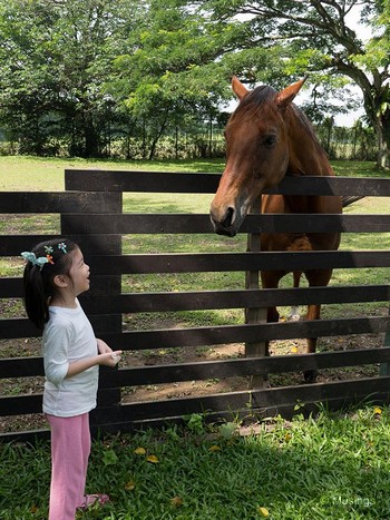 Hannah making new friends.