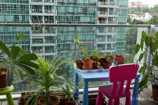 Multi-function balcony LOL.